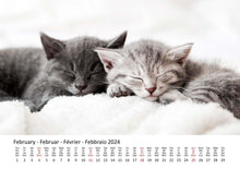 Laden Sie das Bild in den Galerie-Viewer, Edition Seidel Premium Kalender Süße Kätzchen 2024 Format DIN A3 Wandkalender Katzenkalender Haustiere Katzen Kinder Katze Kater Kitten
