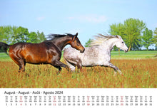 Laden Sie das Bild in den Galerie-Viewer, Edition Seidel Premium Kalender Pferde 2024 Format DIN A3 Wandkalender Pferdekalender Tiere Pferd Pony Stute Hengst Fohlen
