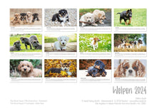 Laden Sie das Bild in den Galerie-Viewer, Edition Seidel Premium Kalender Welpen 2024 Format DIN A3 Wandkalender Hundekalender Weltweit Hund Welpe Hunderasse Haustier
