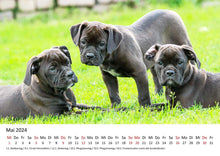 Laden Sie das Bild in den Galerie-Viewer, Edition Seidel Premium Kalender Welpen 2024 Format DIN A3 Wandkalender Hundekalender Weltweit Hund Welpe Hunderasse Haustier
