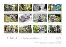 Laden Sie das Bild in den Galerie-Viewer, Edition Seidel Premium Kalender Koalas International 2024 Format DIN A3 Wandkalender Tierkalender Australien Koala Eukalyptus Wald Säugetier
