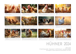 Edition Seidel Premium Kalender Hühner 2024 Format DIN A3 Wandkalender Tierkalender Hühnerkalender Haustiere Huhn Hahn Kücken Vögel