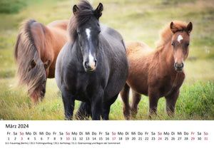 Edition Seidel Premium Kalender Pferde 2024 Format DIN A4 Wandkalender Pferdekalender Fohlen Stute Hengst Pony Tiere