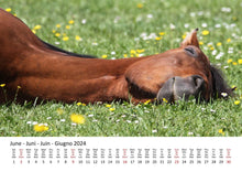 Laden Sie das Bild in den Galerie-Viewer, Edition Seidel Premium Kalender Pferde 2024 Format DIN A3 Wandkalender Pferdekalender Tiere Pferd Pony Stute Hengst Fohlen
