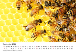 Edition Seidel Premium Kalender Die Welt der Bienen 2024 Format DIN A3 Wandkalender Bienenkalender Biene Insekten Feld Wiese Wald Blume Blüten Honig