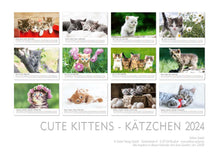 Laden Sie das Bild in den Galerie-Viewer, Edition Seidel Premium Kalender Süße Kätzchen 2024 Format DIN A3 Wandkalender Katzenkalender Haustiere Katzen Kinder Katze Kater Kitten
