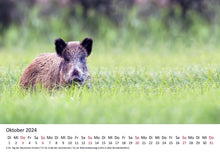 Laden Sie das Bild in den Galerie-Viewer, Edition Seidel Premium Kalender Jagd und Wild 2024 Format DIN A3 Wandkalender Tierkalender Wildtier Waldtier Wild Fuchs Hirsch Wildschwein Ente Wald Jagd Revier
