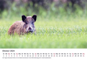 Edition Seidel Premium Kalender Jagd und Wild 2024 Format DIN A3 Wandkalender Tierkalender Wildtier Waldtier Wild Fuchs Hirsch Wildschwein Ente Wald Jagd Revier