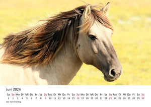 Edition Seidel Premium Kalender Pferde 2024 Format DIN A4 Wandkalender Pferdekalender Fohlen Stute Hengst Pony Tiere