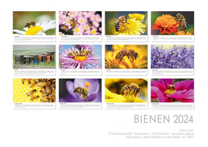 Edition Seidel Premium Kalender Die Welt der Bienen 2024 Format DIN A3 Wandkalender Bienenkalender Biene Insekten Feld Wiese Wald Blume Blüten Honig