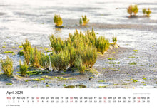 Laden Sie das Bild in den Galerie-Viewer, Edition Seidel Premium Kalender Wattenmeer 2024 Format DIN A3 Wandkalender Deutschland Nordsee Watt Nordseeküste Naturschutzgebiet Christian Müringer
