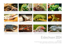 Laden Sie das Bild in den Galerie-Viewer, Edition Seidel Premium Kalender Eidechsen 2024 Format DIN A3 Wandkalender Eidechsenkalender Weltweit Eidechse Riesenechse Waran Schuppenkriechtier Farbwechsler
