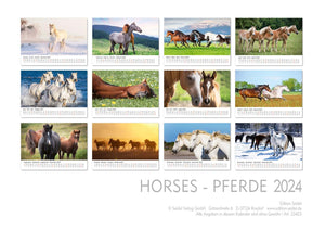 Edition Seidel Premium Kalender Pferde 2024 Format DIN A3 Wandkalender Pferdekalender Tiere Pferd Pony Stute Hengst Fohlen