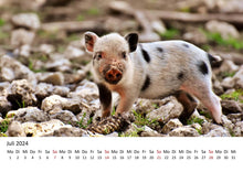 Laden Sie das Bild in den Galerie-Viewer, Edition Seidel Premium Kalender Schweinchen 2024 Format DIN A3 Wandkalender Tierkalender Tiere Schwein Ferkel Frischling Wildschwein heimische Säugetiere
