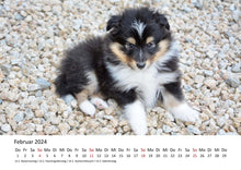 Laden Sie das Bild in den Galerie-Viewer, Edition Seidel Premium Kalender Welpen 2024 Format DIN A3 Wandkalender Hundekalender Weltweit Hund Welpe Hunderasse Haustier
