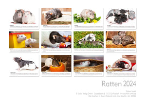 Edition Seidel Premium Kalender Ratten 2024 Format DIN A3 Wandkalender Tierkalender Rattenkalender Weltweit Ratte Nager