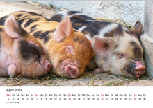 Laden Sie das Bild in den Galerie-Viewer, Edition Seidel Premium Kalender Schweinchen 2024 Format DIN A3 Wandkalender Tierkalender Tiere Schwein Ferkel Frischling Wildschwein heimische Säugetiere
