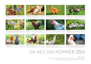 Edition Seidel Premium Kalender Die Welt der Hühner 2024 Format DIN A3 Wandkalender Tierkalender Hühnerkalender Huhn Hahn Kücken Vögel Haustiere