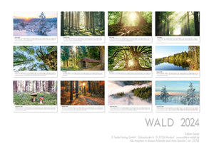 Edition Seidel Premium Kalender Impressionen Wald 2024 Format DIN A3 Wandkalender Naturkalender Natur Bäume Wälder Wasserfall Wiese Laub Waldsee Farn Moos