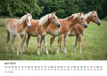 Laden Sie das Bild in den Galerie-Viewer, Edition Seidel Premium Kalender Faszination Pferde 2024 DIN A3 Wandkalender Pferdekalender Tiere Pferde Pony Stute Fohlen Natur Landschaft Sonne Strand Weide Koppel Meer
