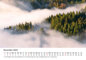 Edition Seidel Premium Kalender Impressionen Wald 2024 Format DIN A3 Wandkalender Naturkalender Natur Bäume Wälder Wasserfall Wiese Laub Waldsee Farn Moos