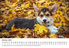 Laden Sie das Bild in den Galerie-Viewer, Edition Seidel Premium Kalender Welpen 2024 Format DIN A3 Wandkalender Hundekalender Weltweit Hund Welpe Hunderasse Haustier
