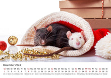 Laden Sie das Bild in den Galerie-Viewer, Edition Seidel Premium Kalender Ratten 2024 Format DIN A3 Wandkalender Tierkalender Rattenkalender Weltweit Ratte Nager
