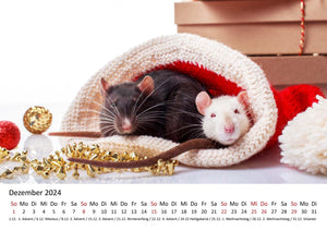 Edition Seidel Premium Kalender Ratten 2024 Format DIN A3 Wandkalender Tierkalender Rattenkalender Weltweit Ratte Nager