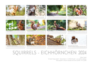 Edition Seidel Premium Kalender Eichhörnchen 2024 Format DIN A3 Wandkalender Tierkalender Wildtiere Waldtiere heimische Tiere