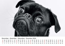 Laden Sie das Bild in den Galerie-Viewer, Edition Seidel Premium Kalender Möpse 2024 Format DIN A3 Wandkalender Hundekalender Mops Hund Welpe Hunderasse Haustier
