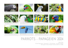 Laden Sie das Bild in den Galerie-Viewer, Edition Seidel Premium Kalender Papageien 2024 Format DIN A3 Wandkalender Papageikalender Papagei Kakadu Vögel Tiere Natur
