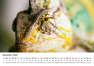 Edition Seidel Premium Kalender Faszination Chamäleons 2024 Format DIN A3 Wandkalender Tierkalender Eidechse Reptilie Schuppenkriechtier Leguan Wildtier