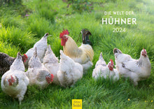 Laden Sie das Bild in den Galerie-Viewer, Edition Seidel Premium Kalender Die Welt der Hühner 2024 Format DIN A3 Wandkalender Tierkalender Hühnerkalender Huhn Hahn Kücken Vögel Haustiere
