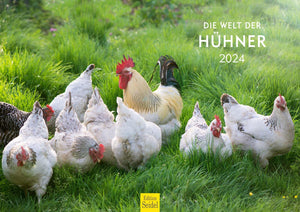 Edition Seidel Premium Kalender Die Welt der Hühner 2024 Format DIN A3 Wandkalender Tierkalender Hühnerkalender Huhn Hahn Kücken Vögel Haustiere