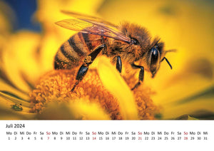 Edition Seidel Premium Kalender Die Welt der Bienen 2024 Format DIN A3 Wandkalender Bienenkalender Biene Insekten Feld Wiese Wald Blume Blüten Honig