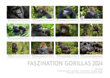 Laden Sie das Bild in den Galerie-Viewer, Edition Seidel Premium Kalender Faszination Gorillas 2024 Format DIN A3 Wandkalender Tierkalender Afrika Regenwald Affen Primaten Wildtiere Waldtiere
