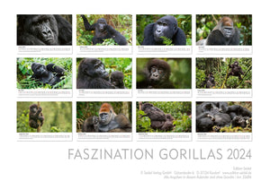 Edition Seidel Premium Kalender Faszination Gorillas 2024 Format DIN A3 Wandkalender Tierkalender Afrika Regenwald Affen Primaten Wildtiere Waldtiere