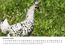 Laden Sie das Bild in den Galerie-Viewer, Edition Seidel Premium Kalender Die Welt der Hühner 2024 Format DIN A3 Wandkalender Tierkalender Hühnerkalender Huhn Hahn Kücken Vögel Haustiere
