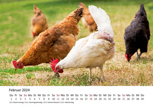 Edition Seidel Premium Kalender Die Welt der Hühner 2024 Format DIN A3 Wandkalender Tierkalender Hühnerkalender Huhn Hahn Kücken Vögel Haustiere