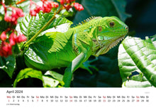 Laden Sie das Bild in den Galerie-Viewer, Edition Seidel Premium Kalender Eidechsen 2024 Format DIN A3 Wandkalender Eidechsenkalender Weltweit Eidechse Riesenechse Waran Schuppenkriechtier Farbwechsler
