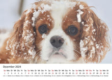 Laden Sie das Bild in den Galerie-Viewer, Edition Seidel Premium Kalender Welpen 2024 Format DIN A3 Wandkalender Hundekalender Weltweit Hund Welpe Hunderasse Haustier
