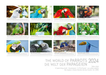 Laden Sie das Bild in den Galerie-Viewer, Edition Seidel Premium Kalender Die Welt der Papageien 2024 Format DIN A3 Wandkalender Tierkalender Vogelkalender Papagei Kakadu bunte Vögel
