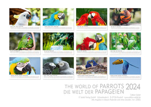 Edition Seidel Premium Kalender Die Welt der Papageien 2024 Format DIN A3 Wandkalender Tierkalender Vogelkalender Papagei Kakadu bunte Vögel