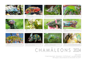 Edition Seidel Premium Kalender Faszination Chamäleons 2024 Format DIN A3 Wandkalender Tierkalender Eidechse Reptilie Schuppenkriechtier Leguan Wildtier