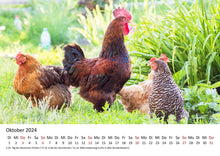 Laden Sie das Bild in den Galerie-Viewer, Edition Seidel Premium Kalender Die Welt der Hühner 2024 Format DIN A3 Wandkalender Tierkalender Hühnerkalender Huhn Hahn Kücken Vögel Haustiere
