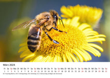 Laden Sie das Bild in den Galerie-Viewer, Edition Seidel Premium Kalender Die Welt der Bienen 2024 Format DIN A3 Wandkalender Bienenkalender Biene Insekten Feld Wiese Wald Blume Blüten Honig
