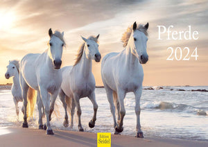 Edition Seidel Premium Kalender Pferde 2024 Format DIN A4 Wandkalender Pferdekalender Fohlen Stute Hengst Pony Tiere