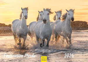 Edition Seidel Premium Kalender Faszination Pferde 2024 DIN A3 Wandkalender Pferdekalender Tiere Pferde Pony Stute Fohlen Natur Landschaft Sonne Strand Weide Koppel Meer