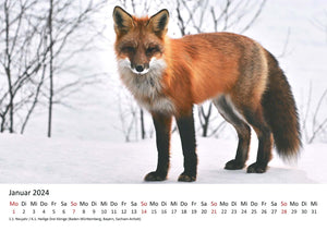 Edition Seidel Premium Kalender Jagd und Wild 2024 Format DIN A3 Wandkalender Tierkalender Wildtier Waldtier Wild Fuchs Hirsch Wildschwein Ente Wald Jagd Revier