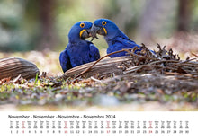 Laden Sie das Bild in den Galerie-Viewer, Edition Seidel Premium Kalender Die Welt der Papageien 2024 Format DIN A3 Wandkalender Tierkalender Vogelkalender Papagei Kakadu bunte Vögel
